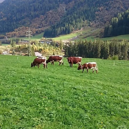 Casa de hóspedes Hof Am Platzli *
